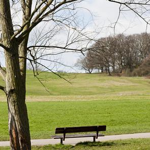 Lady Somerset Road
