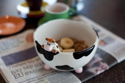 cow bowl in holiday apartment london