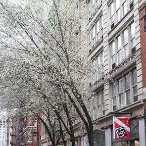 West Broadway 2