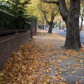 Elsworthy Road 2